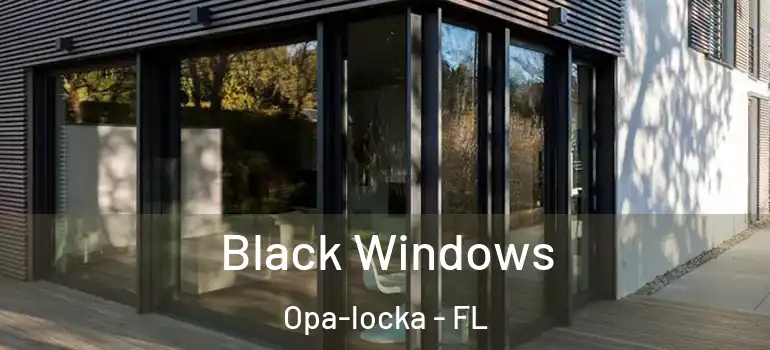  Black Windows Opa-locka - FL