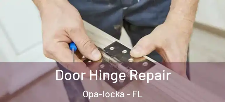 Door Hinge Repair Opa-locka - FL