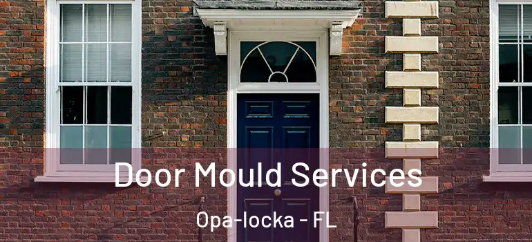  Door Mould Services Opa-locka - FL