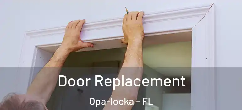  Door Replacement Opa-locka - FL