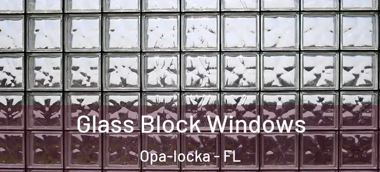  Glass Block Windows Opa-locka - FL