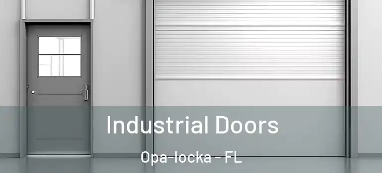  Industrial Doors Opa-locka - FL