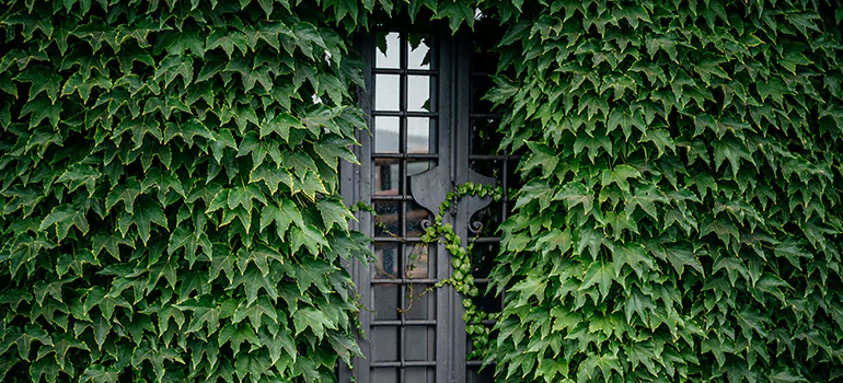 Garden Gate Repair in Opa-locka, FL
