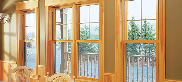 Government Incentives For Replacement Windows in Opa-locka, FL