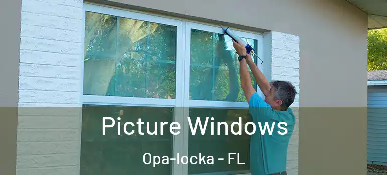  Picture Windows Opa-locka - FL