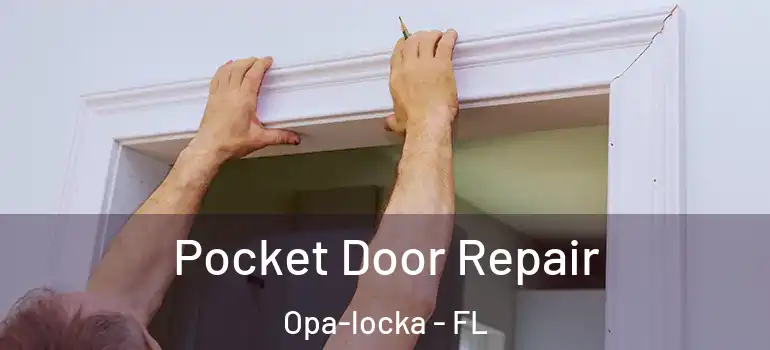  Pocket Door Repair Opa-locka - FL