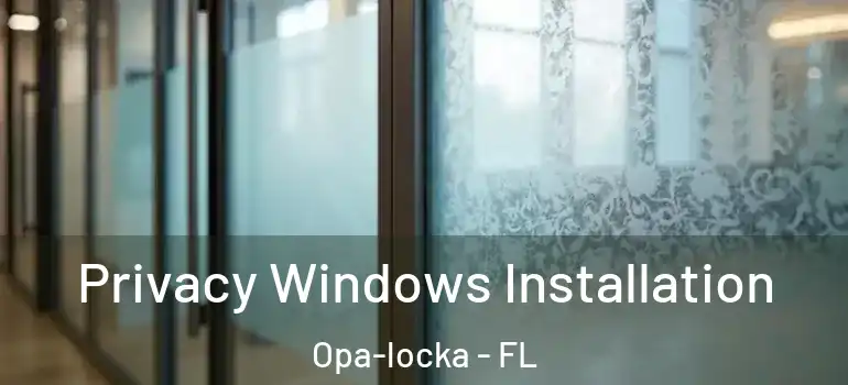  Privacy Windows Installation Opa-locka - FL