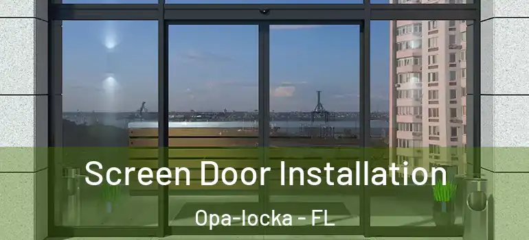  Screen Door Installation Opa-locka - FL