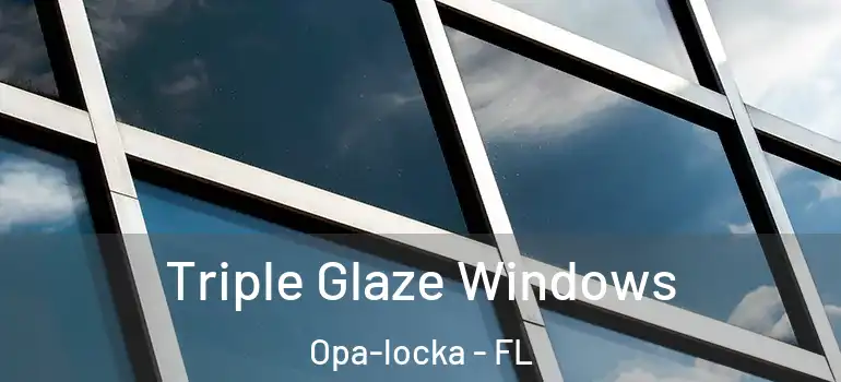  Triple Glaze Windows Opa-locka - FL