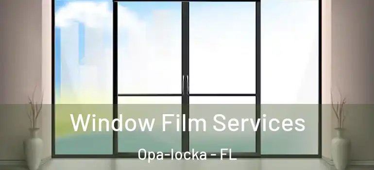  Window Film Services Opa-locka - FL