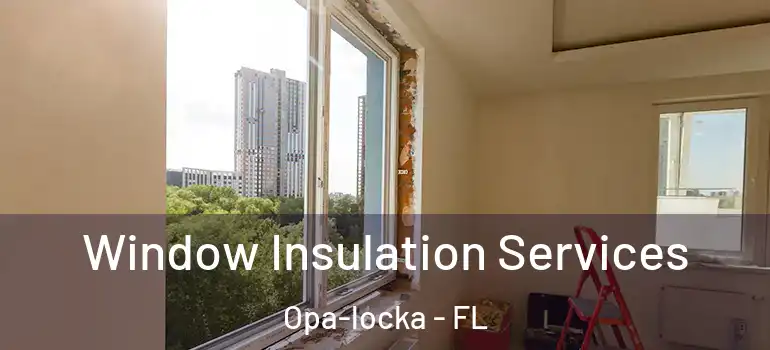  Window Insulation Services Opa-locka - FL