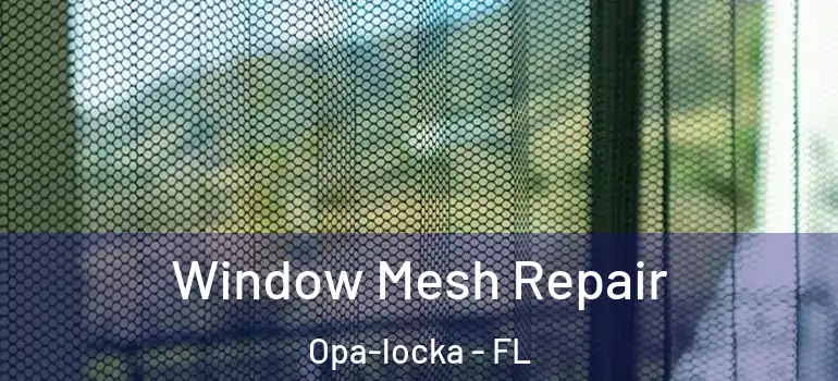  Window Mesh Repair Opa-locka - FL