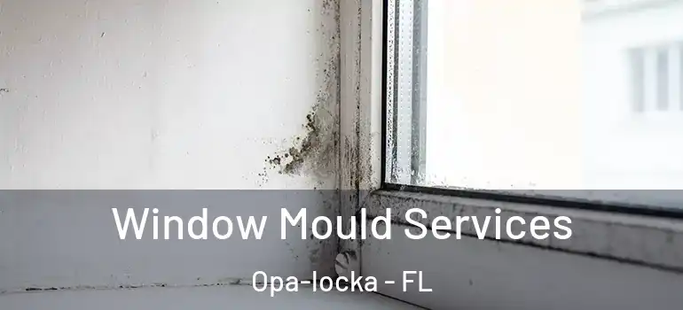  Window Mould Services Opa-locka - FL