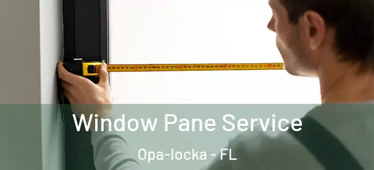  Window Pane Service Opa-locka - FL