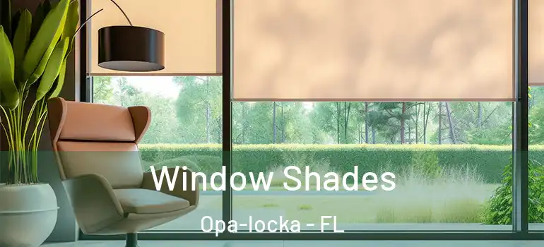  Window Shades Opa-locka - FL