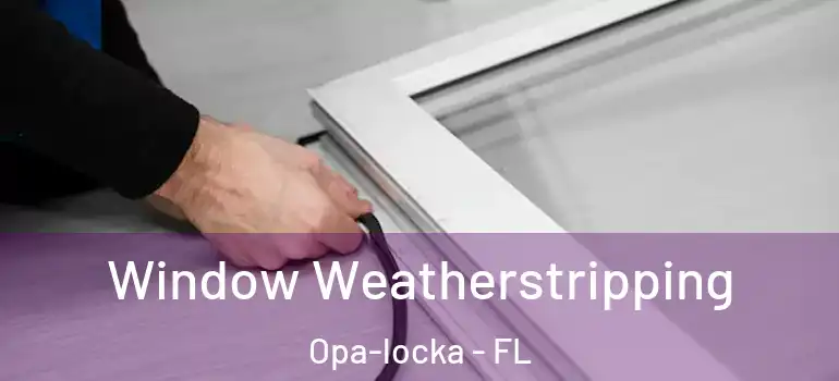  Window Weatherstripping Opa-locka - FL